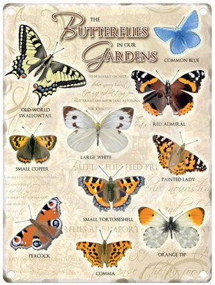 Butterflies in our garden metal sign