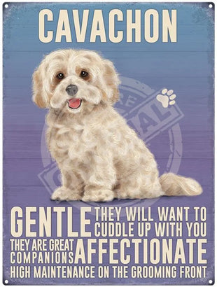 Cavachon dog characteristics metal sign