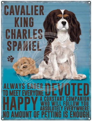 Cavalier King Charles dog characteristics metal sign