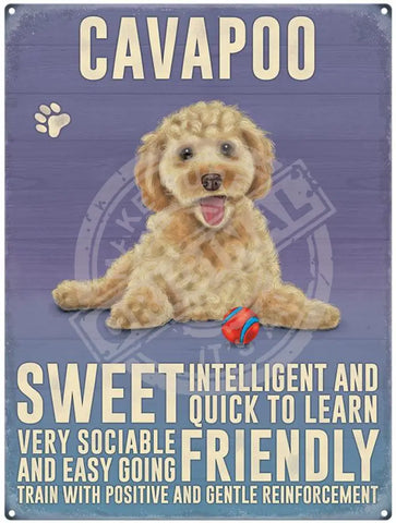Cavapoo dog characteristics metal sign