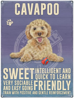 Cavapoo dog characteristics metal sign