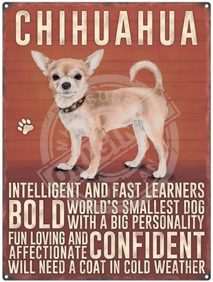 Chihuahua dog characteristics metal sign