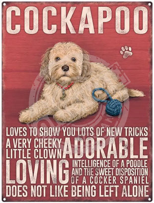 Cockapoo dog characteristics metal sign