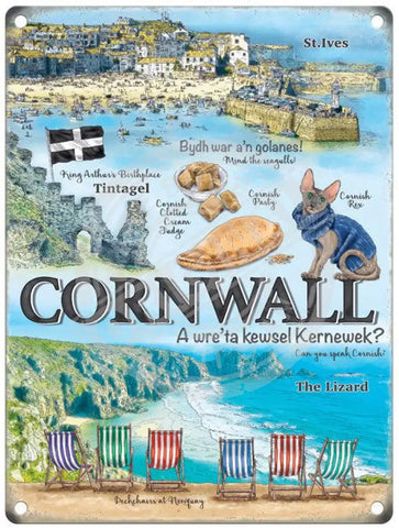 Cornwall- Can you speak cornish metal sign