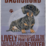 Dachshund dog characteristics metal sign