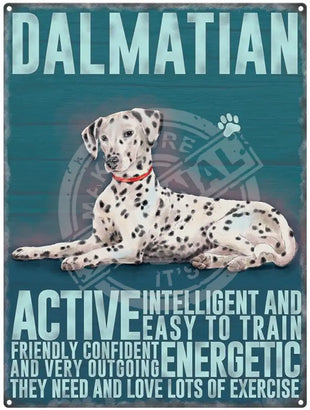 Dalmation dog characteristics metal sign