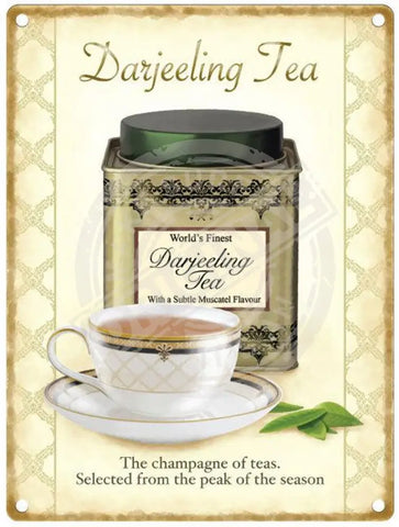 Darjeeling Tea Caddy and Teacup metal sign