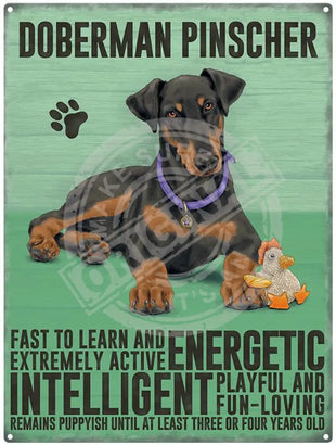 Doberman Pinscher dog characteristics metal sign