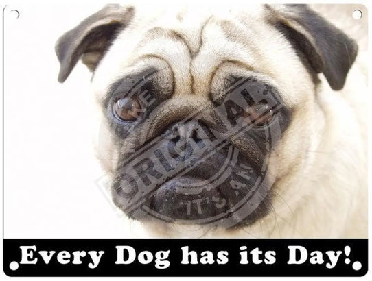 Pug every dog has its day metal sign