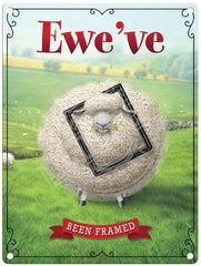 Funny Sheep Ewe've been framed metal sign