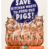 Feed The Pigs Metal Signs