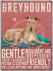 Greyhound - Cream Metal Signs