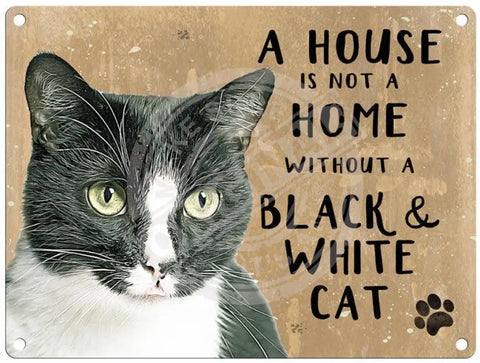 House is not a home without black and white cat