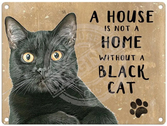 A House is not a home without a black cat.