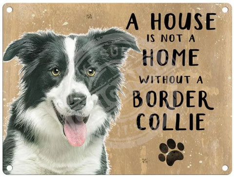 House Is Not A Home - Border Collie Metal Signs