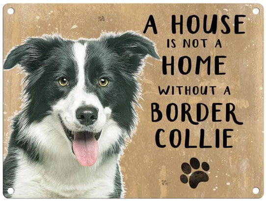 House Is Not A Home - Border Collie Metal Signs