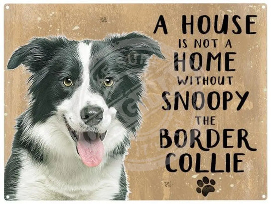 Personalised border collie metal sign