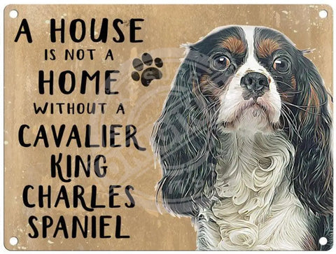 House Is Not A Home - Cavalier King Charles Spaniel Metal Signs