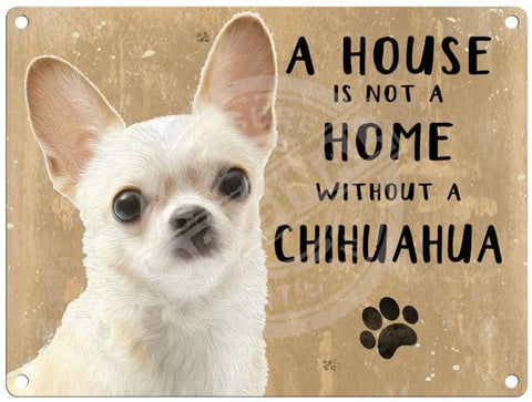 House Is Not A Home - Chihuahua Metal Signs