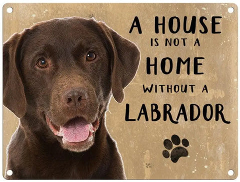 House Is Not A Home - Chocolate Labrador Metal Signs