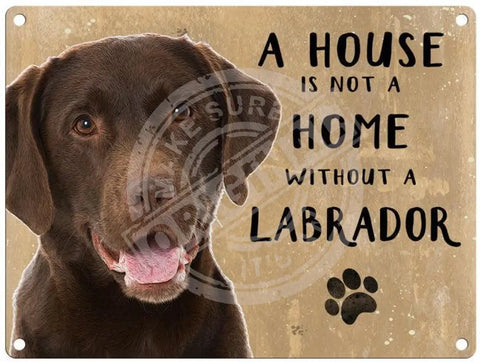 House Is Not A Home - Chocolate Labrador Metal Signs