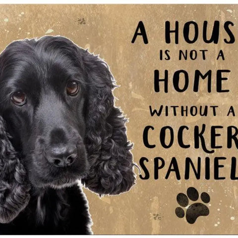 HOUSE IS NOT A HOME