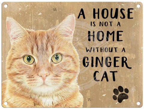 House Is Not A Home - Ginger Cat Metal Signs