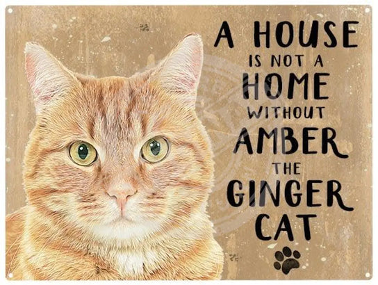 Personalised ginger cat metal sign