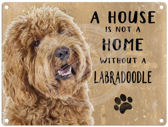 House Is Not A Home - Labradoodle Apricot Metal Signs