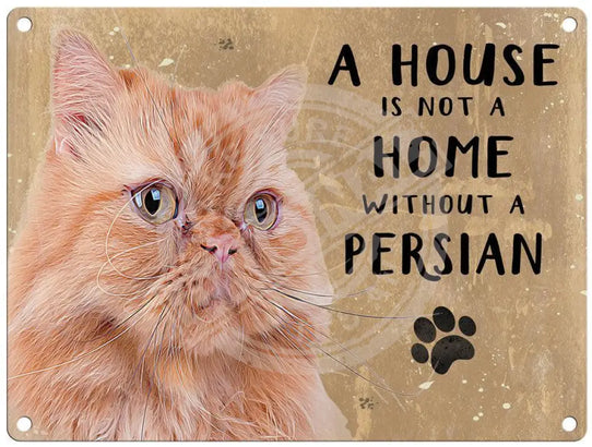 A house is not a home Persian cat metals sign