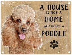 House Is Not A Home - Poodle Metal Signs