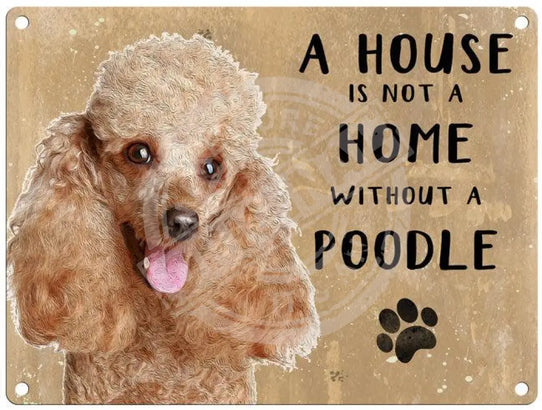 House Is Not A Home - Poodle Metal Signs