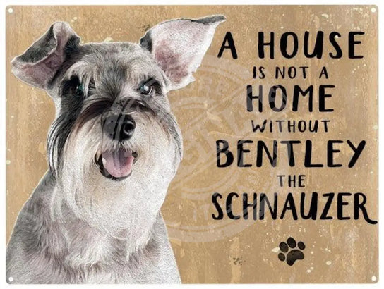 Personalised schnauzer metal sign