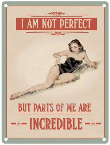 I Am Not Perfect Metal Signs