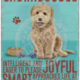 Labradoodle Metal Signs