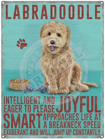 Labradoodle Metal Signs