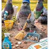 LIFE AFTER HUMANS - Pigeons Mini Metal Sign 15cm x 20cm Metal Signs