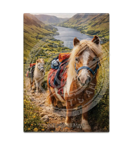 LIFE AFTER HUMANS - Pony Trekking Fridge Magnet Metal Signs