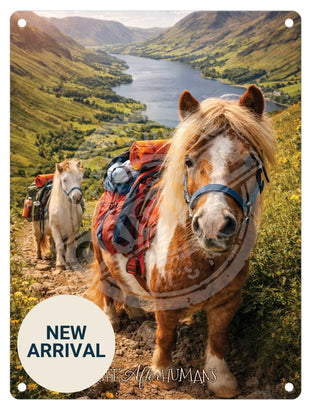 LIFE AFTER HUMANS - Pony Trekking Mini Metal Sign 15cm x 20cm Metal Signs