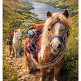 LIFE AFTER HUMANS - Pony Trekking Mini Metal Sign 15cm x 20cm Metal Signs