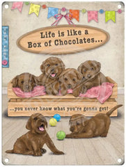 Life Is Like A Box Of Chocolates Metal Signs