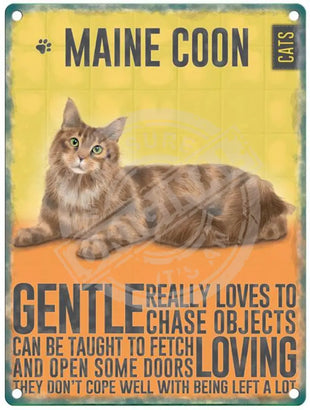 Maine Coon Cat Metal Signs