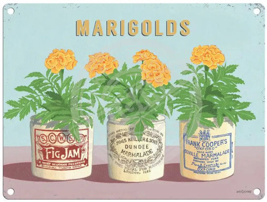 Marigolds - Martin Wiscombe Metal Signs