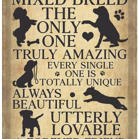 ANIMALS LOVERS