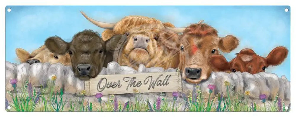 Over The Wall Cows Metal Signs