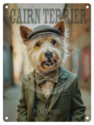 PEAKY PAWS CLUB - Cairn Terrier Mini Metal Sign 15cm x 20cm Metal Signs