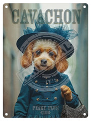 PEAKY PAWS CLUB - Cavachon Female Blue Mini Metal Sign 15cm x 20cm Metal Signs