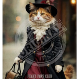 PEAKY PAWS CLUB - FELINE FINE - Calico Cat Mini Metal Sign 15cm x 20cm Metal Signs