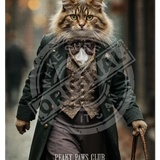 PEAKY PAWS CLUB - FELINE FINE - Maine Coone Cat Mini Metal Sign 15cm x 20cm Metal Signs