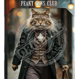 PEAKY PAWS CLUB - FELINE FINE - Maine Coone Cat Mini Metal Sign 15cm x 20cm Metal Signs